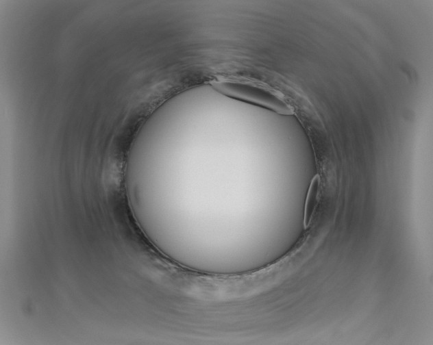 X0000112920033200908241041