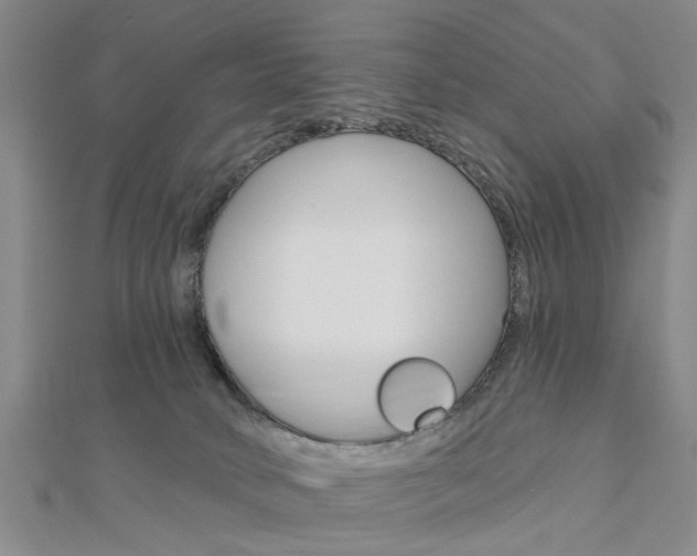 X0000112920034200908241041