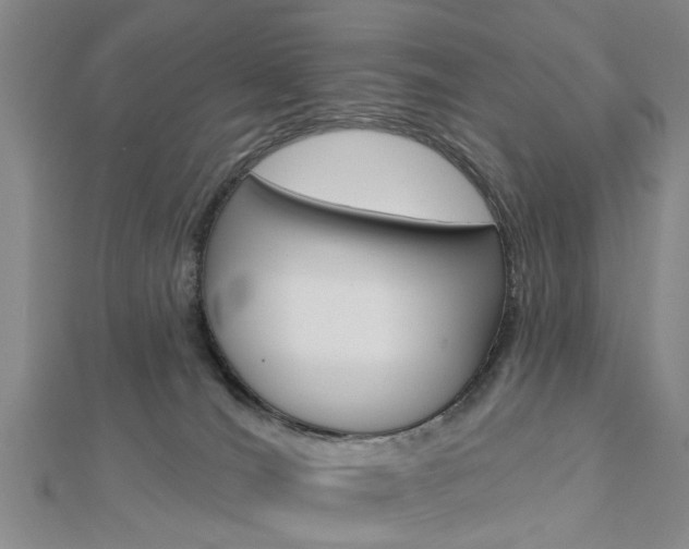 X0000112920036200908241041