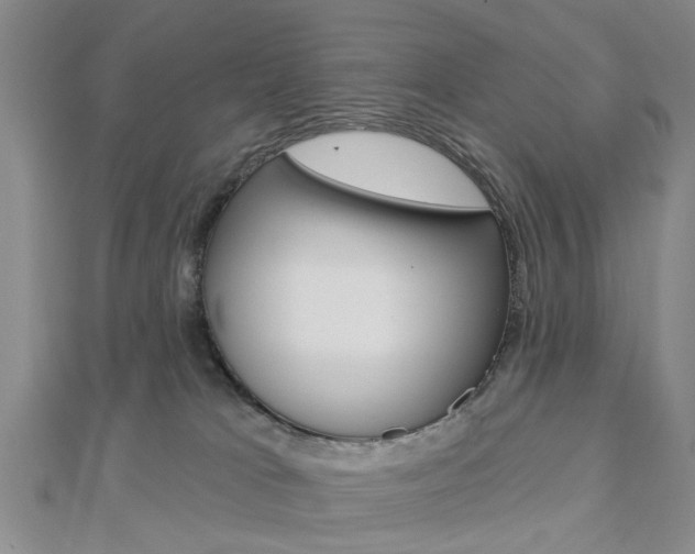 X0000112920037200908241041