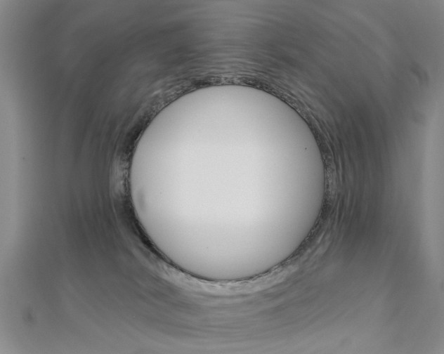 X0000112920038200908241041