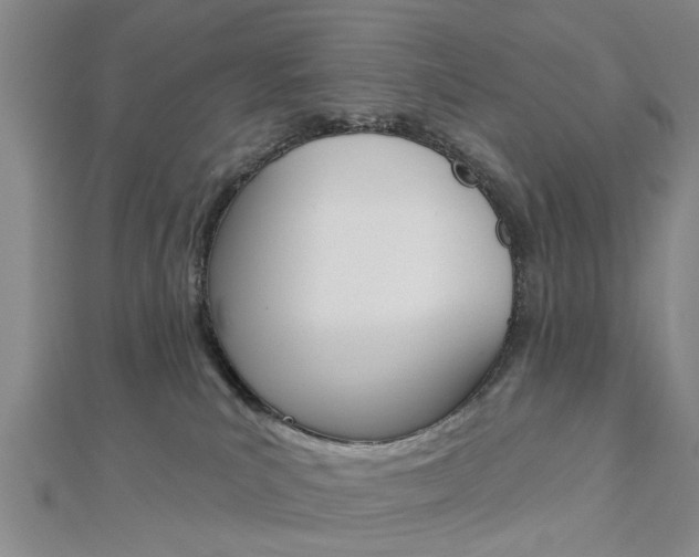 X0000112920039200908241041