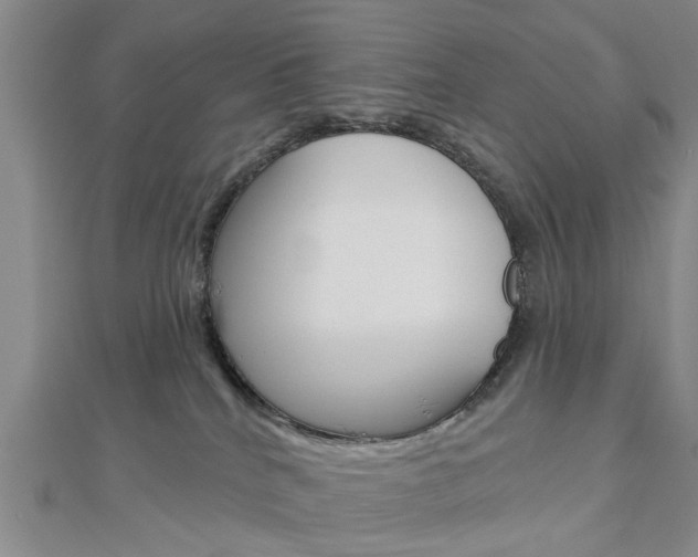 X0000112920040200908241041