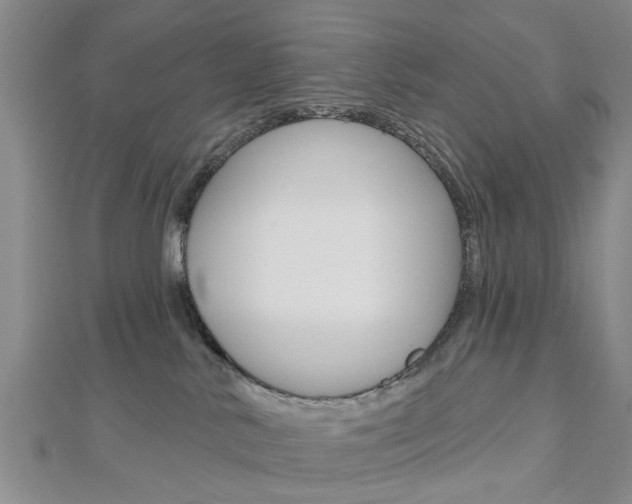X0000112920042200908241041