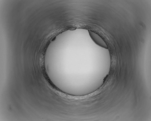 X0000112920043200908241041