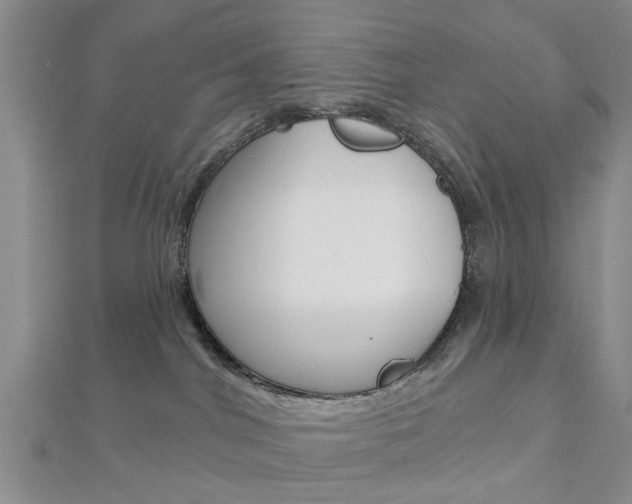 X0000112920044200908241041
