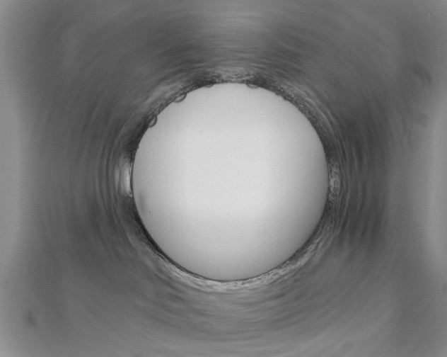X0000112920046200908241041