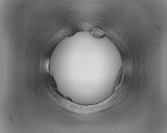X0000112920047200908241041