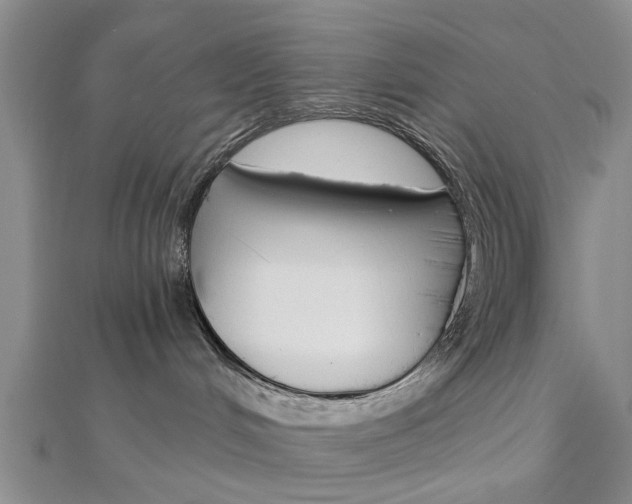 X0000112920048200908241041