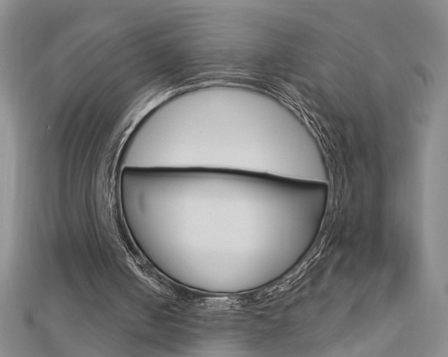 X0000112920050200908241040