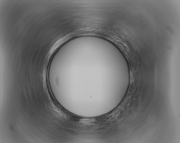 X0000112920051200908241040