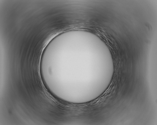 X0000112920052200908241040