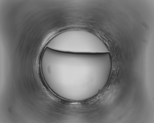 X0000112920053200908241040