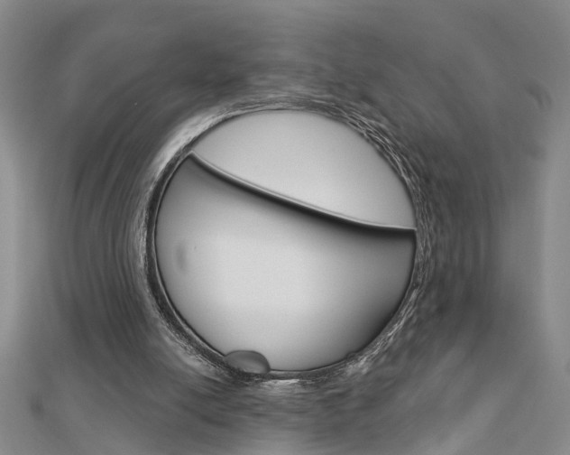 X0000112920054200908241040