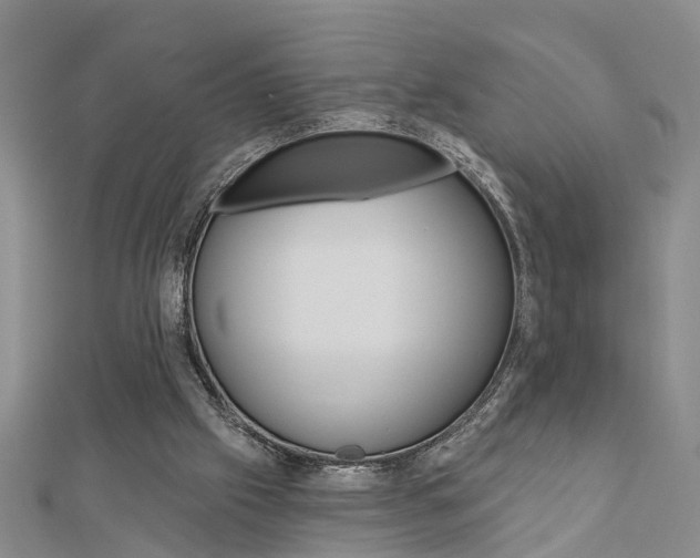 X0000112920057200908241040