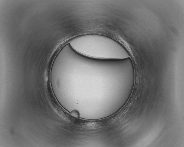 X0000112920059200908241040