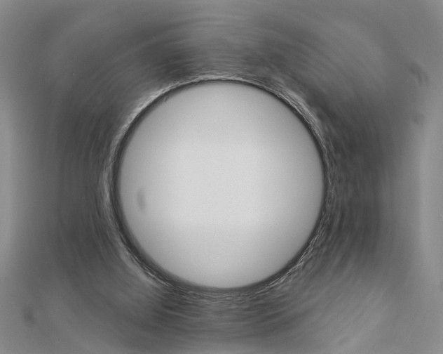 X0000112920060200908241040