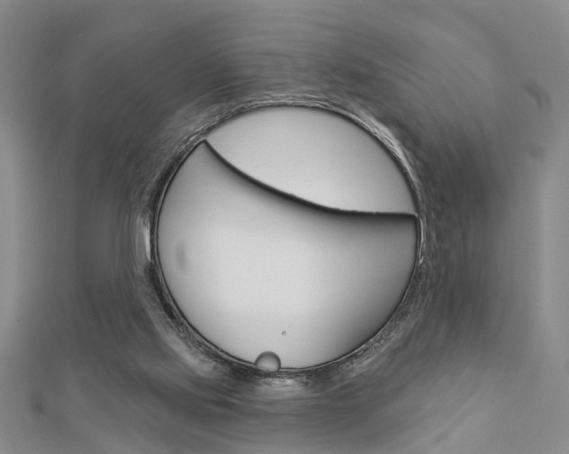 X0000112920061200908241040