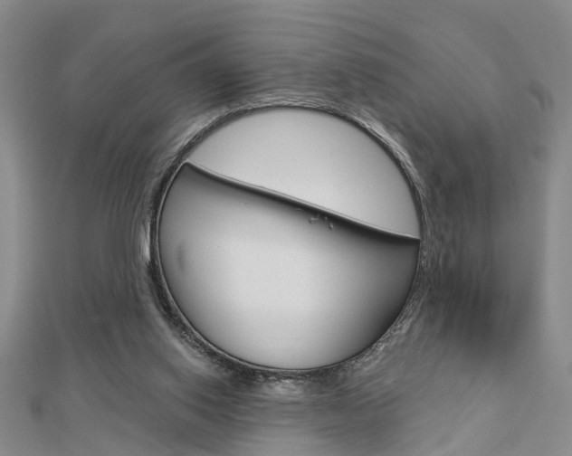 X0000112920062200908241040