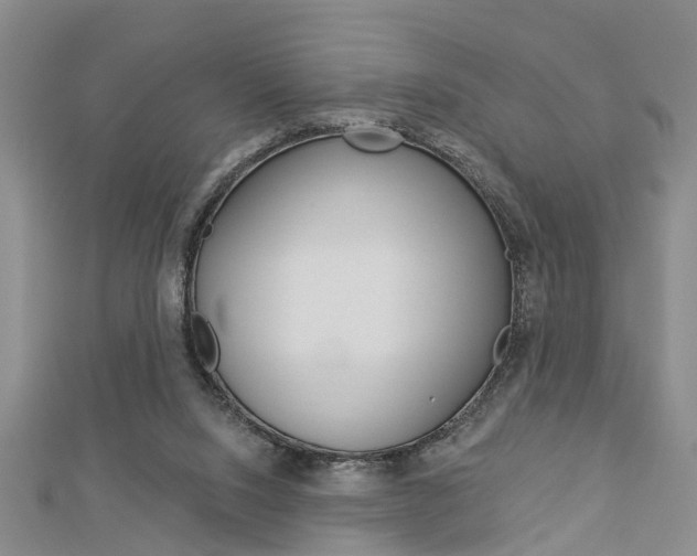 X0000112920064200908241040