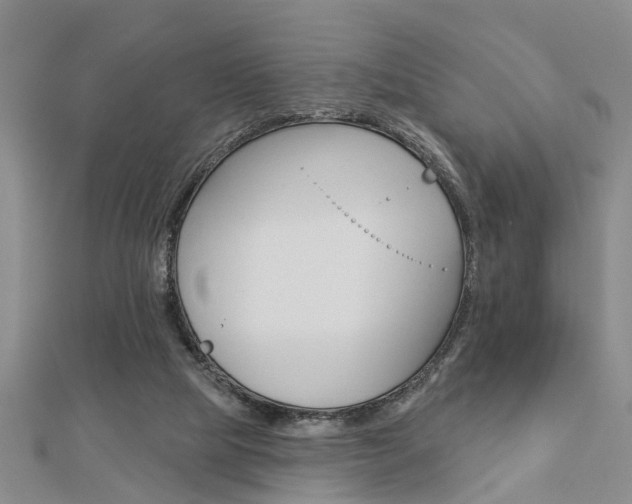 X0000112920065200908241040