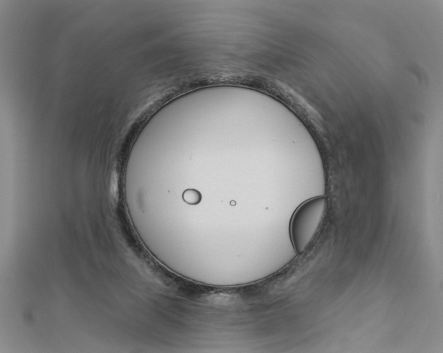 X0000112920067200908241040