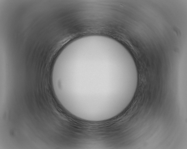 X0000112920068200908241041