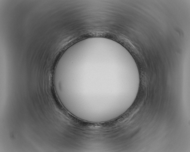 X0000112920071200908241041