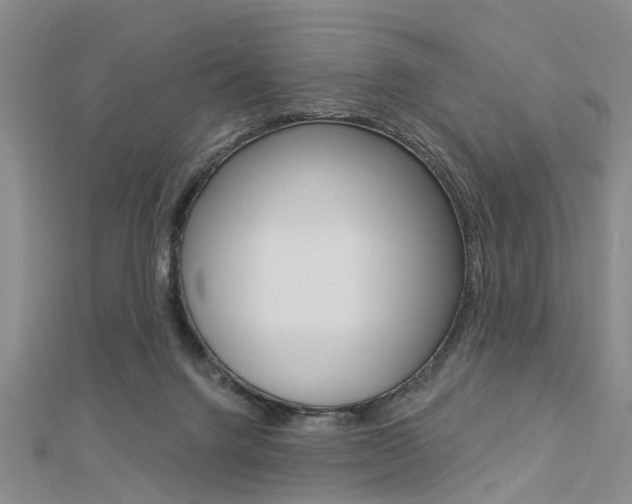 X0000112920072200908241041