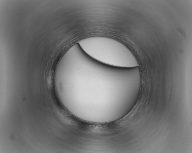 X0000112920074200908241041