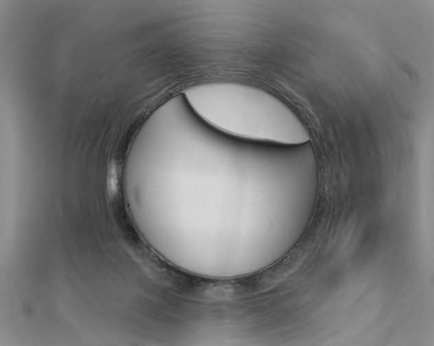 X0000112920075200908241041