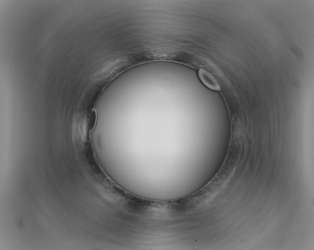 X0000112920076200908241041