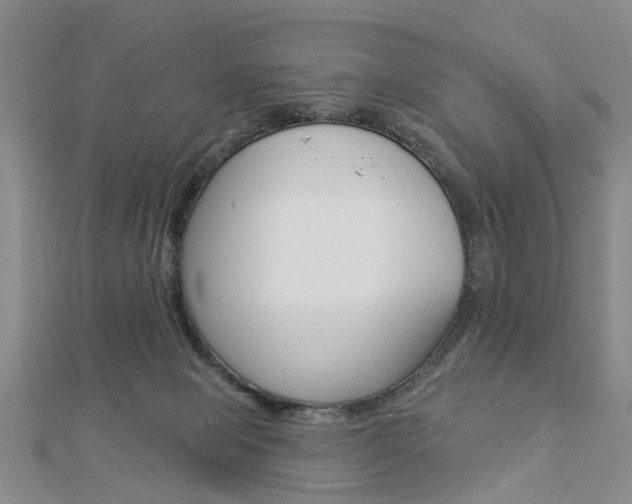 X0000112920077200908241041