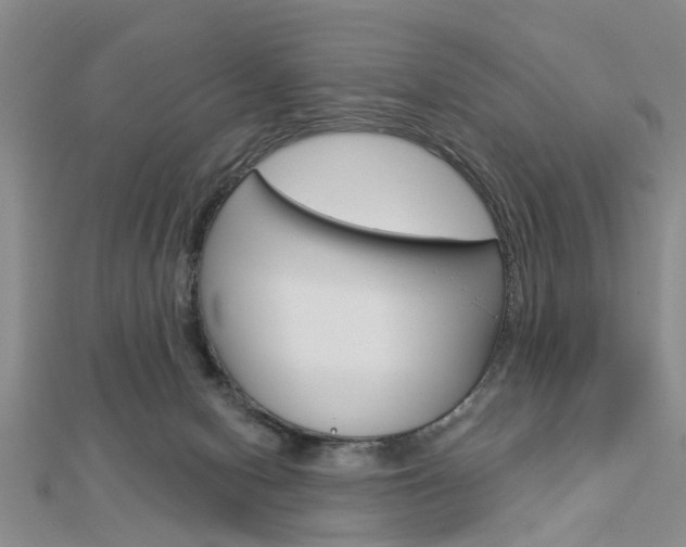 X0000112920078200908241041