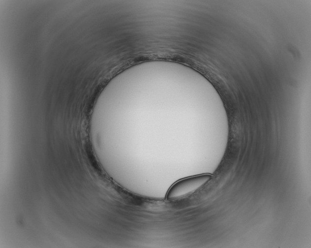 X0000112920079200908241041