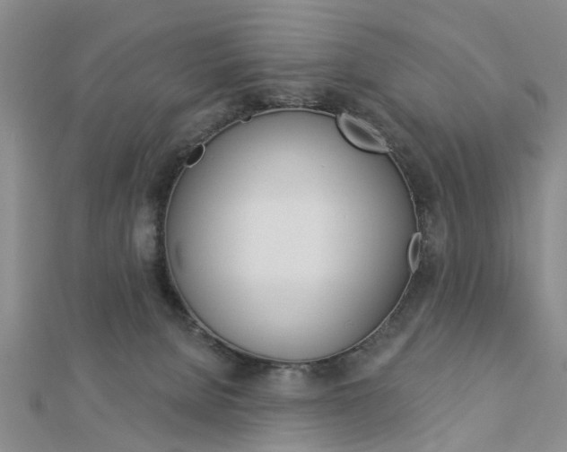 X0000112920080200908241041