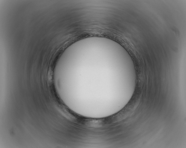 X0000112920081200908241041
