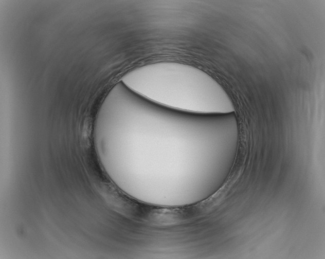 X0000112920082200908241041