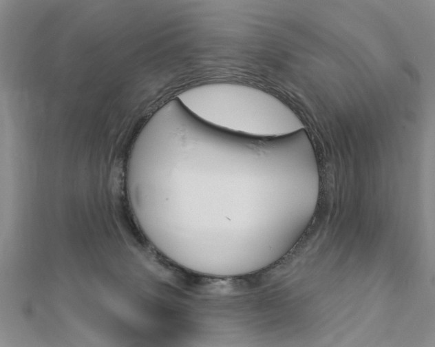 X0000112920083200908241041