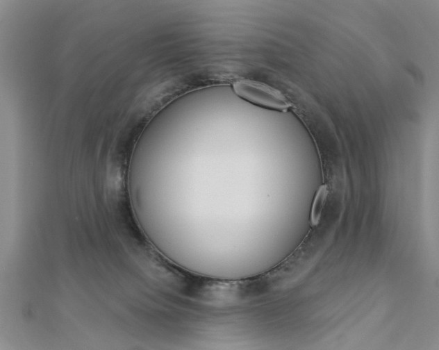 X0000112920084200908241041