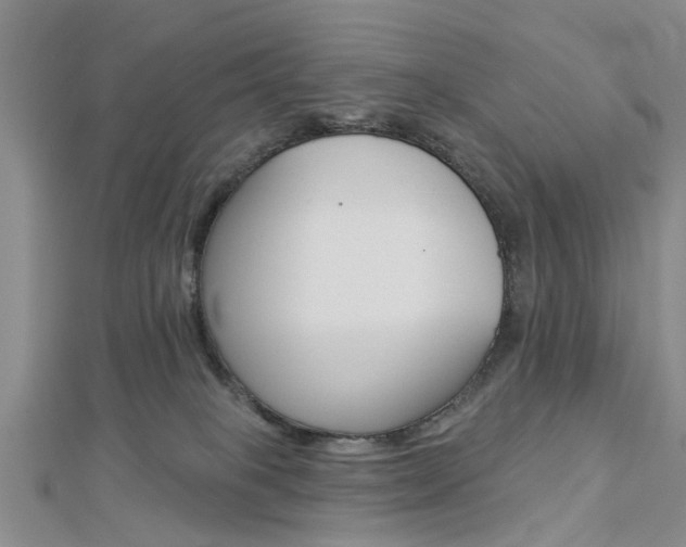 X0000112920085200908241041