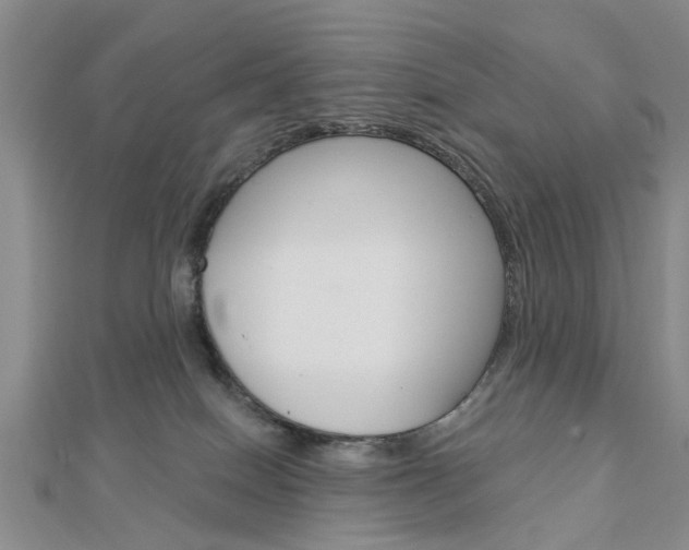 X0000112920086200908241041