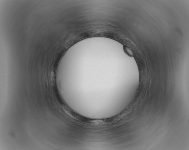 X0000112920087200908241041