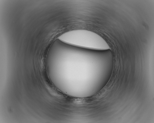 X0000112920088200908241041