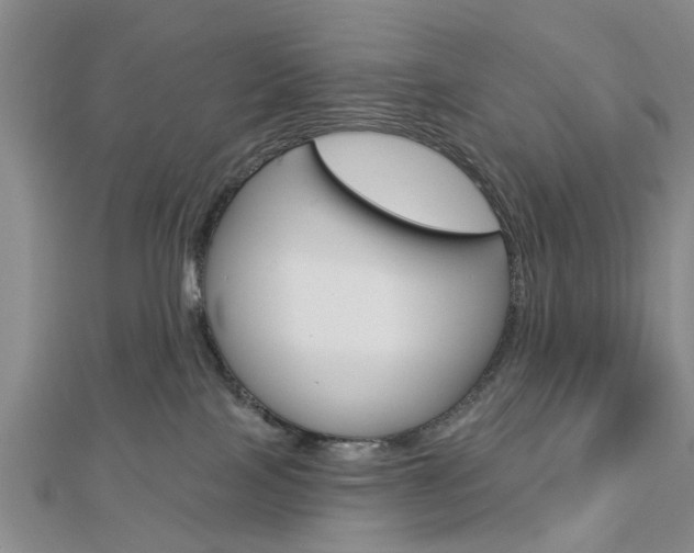X0000112920089200908241041