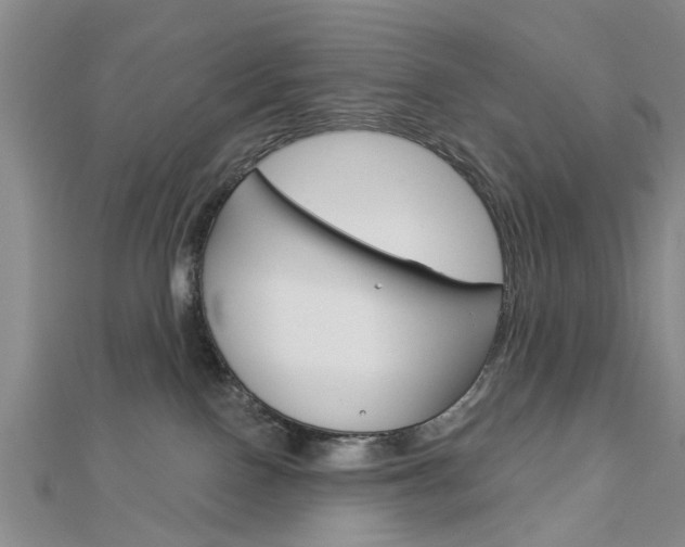 X0000112920090200908241041