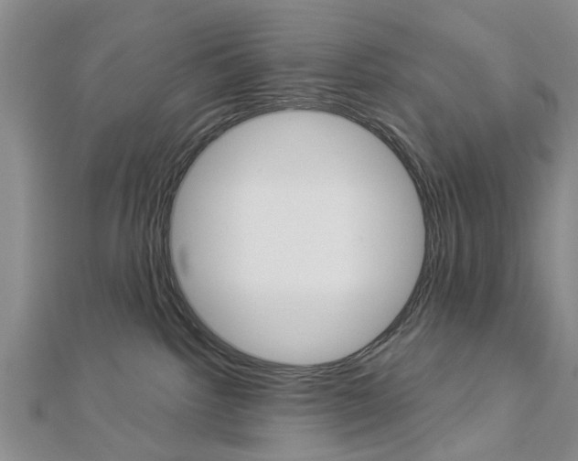 X0000112920092200908241041