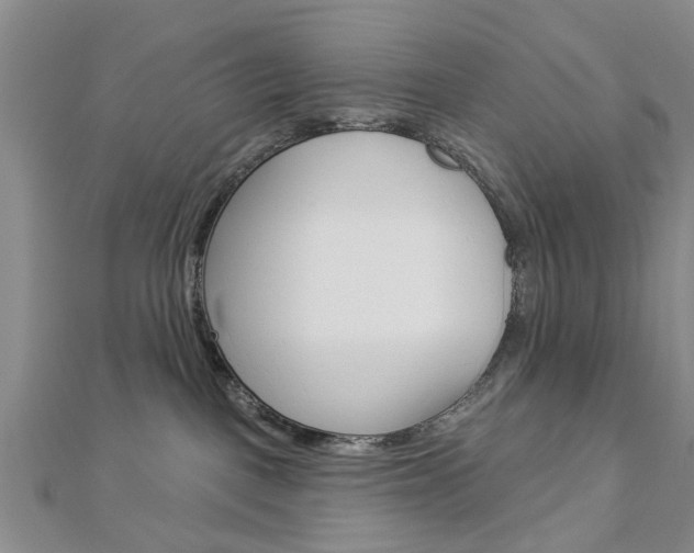 X0000112920093200908241041