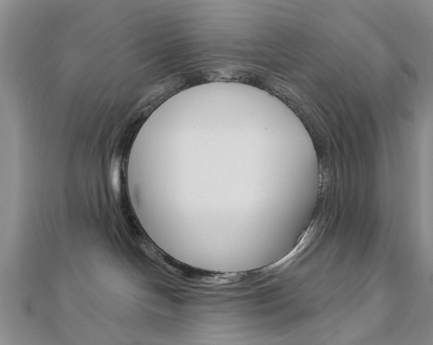 X0000112920094200908241041