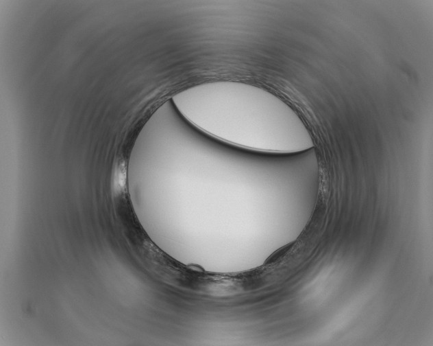 X0000112920095200908241041